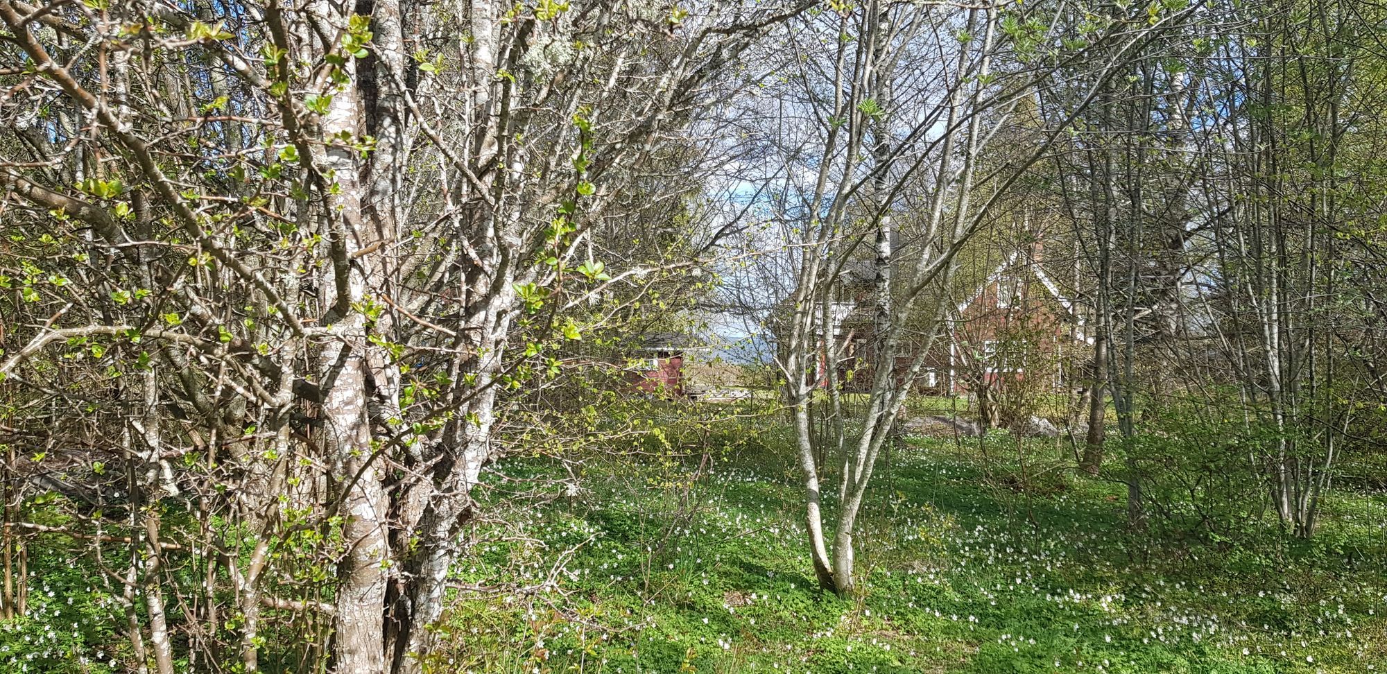 Enkelt fritidshus 100 kvm från 60-70-talet. – bild 16 av 19