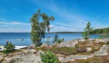 Stuga med sjöutsikt, Vänern