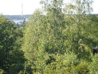 Fint hus med underbar utsikt – bild 9 av 21