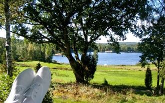 Sjöutsikt och skogspromenader i välutrustad stuga