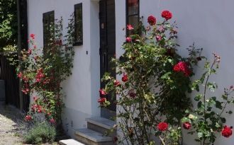 Unikt sommarboende i Visby innerstad