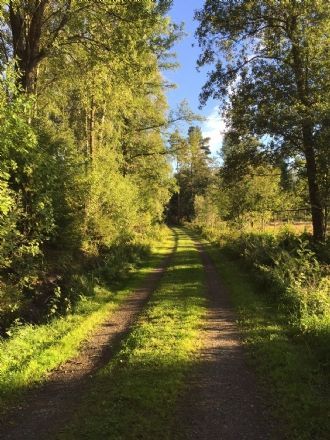 Mysig stuga med bra bad och fiske – bild 11 av 24