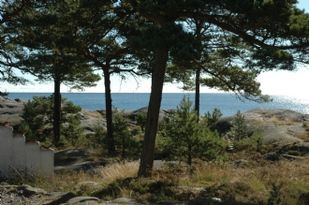 Bästa läget på Sandhamn - strandtomt i Trovill