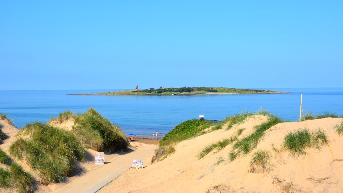 Härlig studio vid havet nära Tylösand