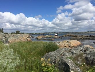 Sommaridyllen Knarrholmen Göteborgs södra skärgård – bild 21 av 24