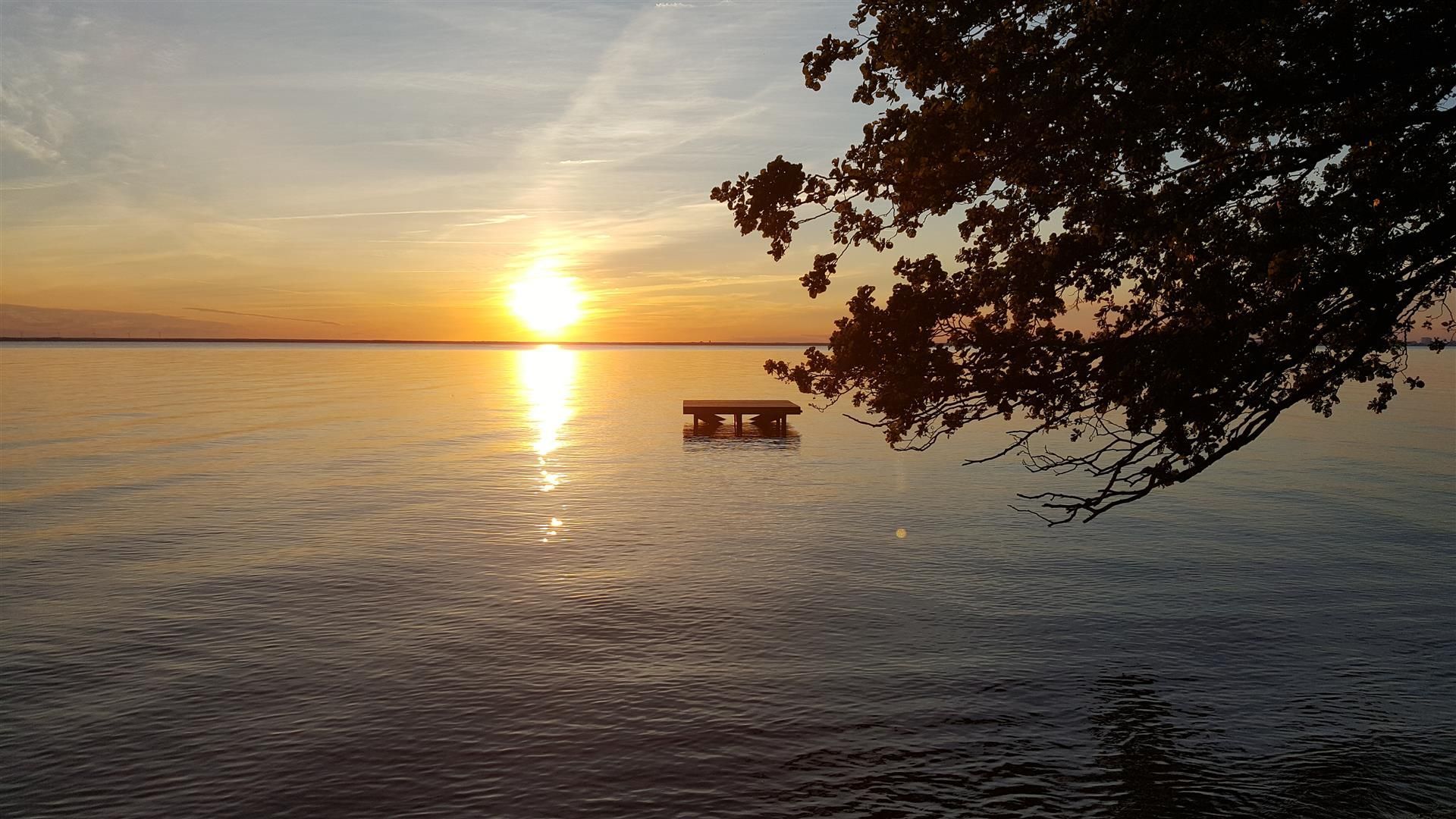 Toppenfräsch stuga nära havet – bild 10 av 12