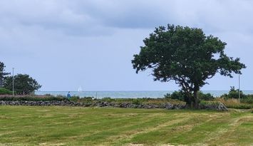 Strandnära stuga norr om Falkenberg
