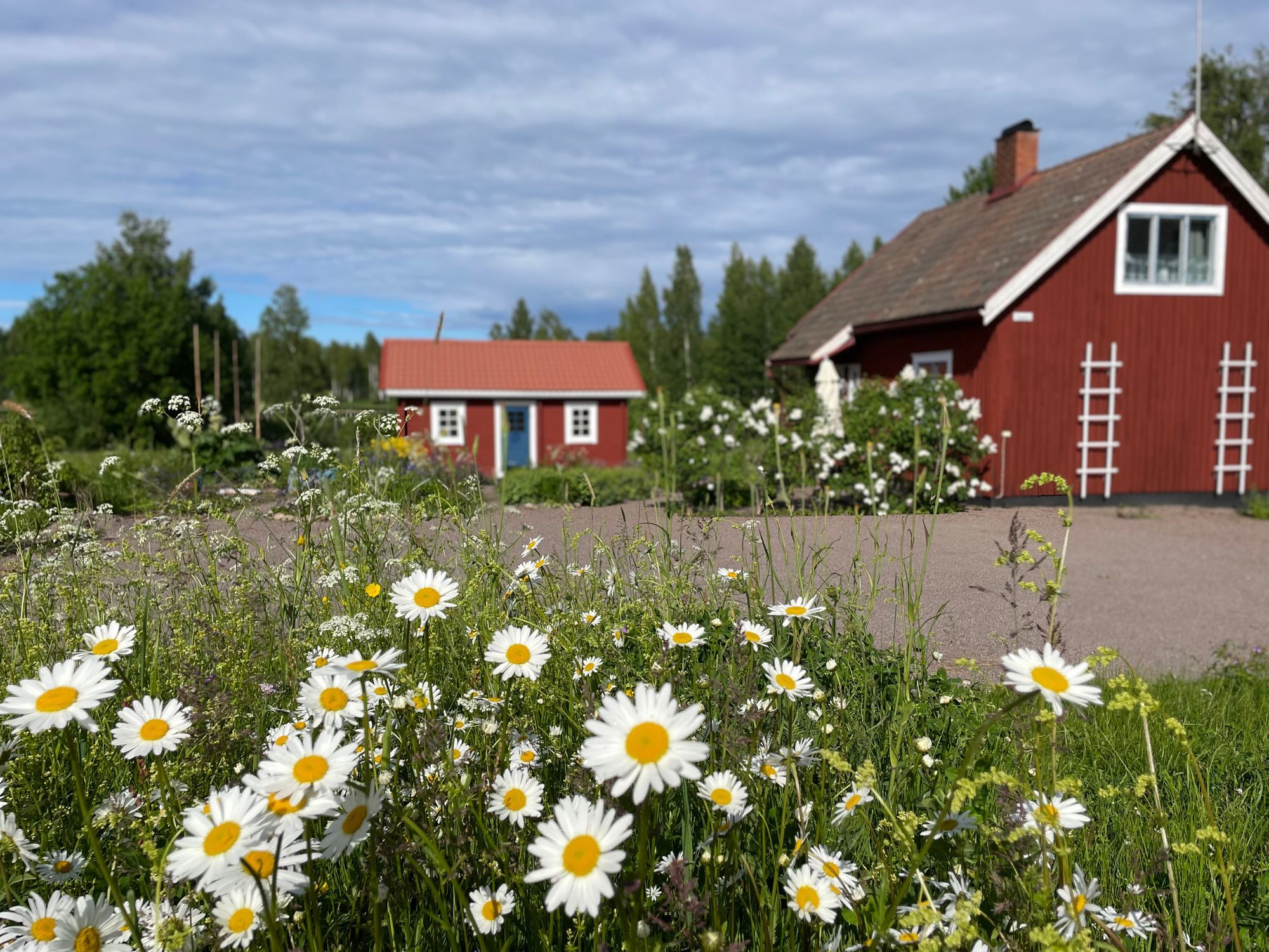 Lilla Brostugan i Ockelbo – bild 2 av 21