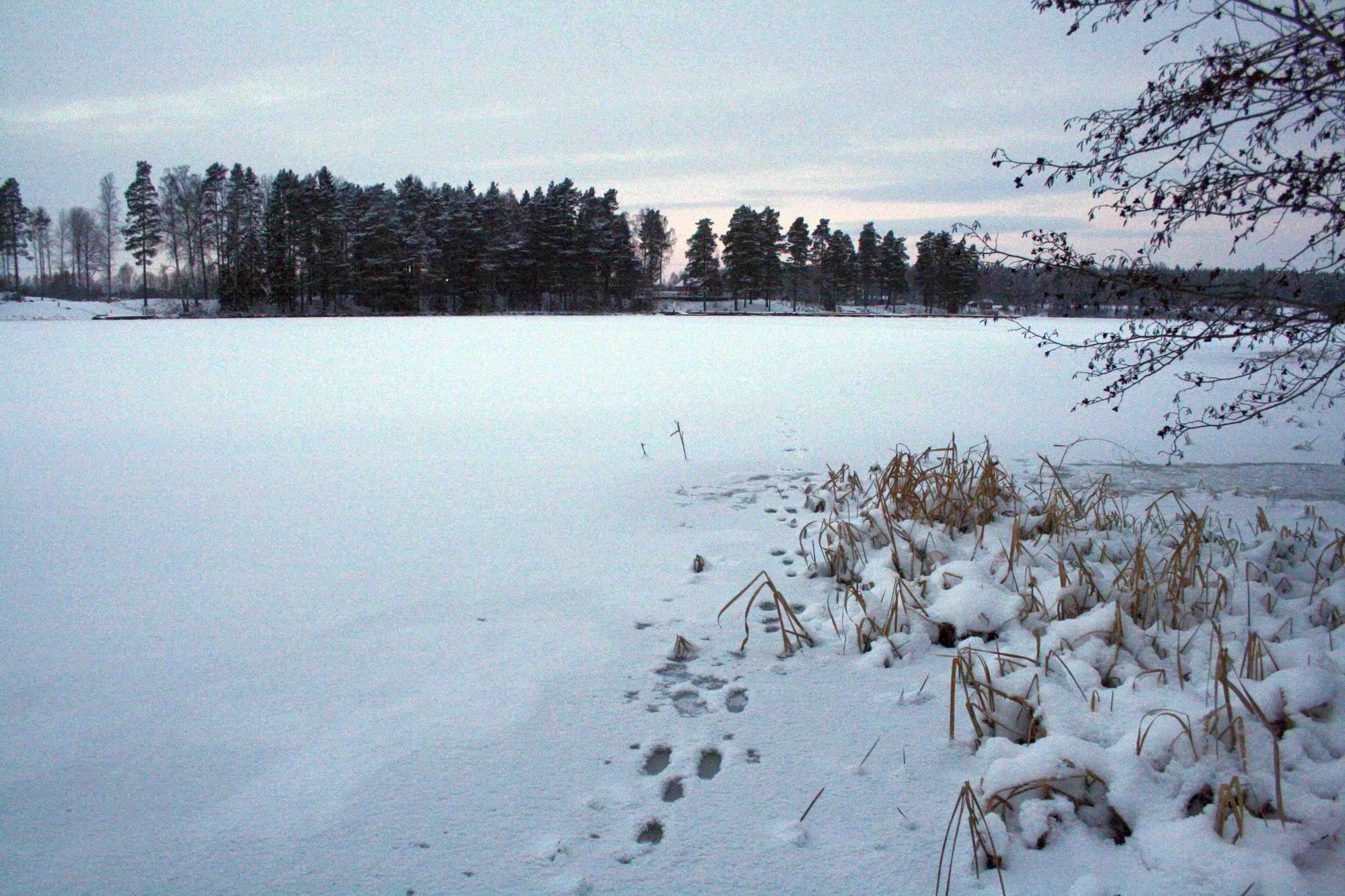 Modern stuga nära Romme Alpin – bild 20 av 24