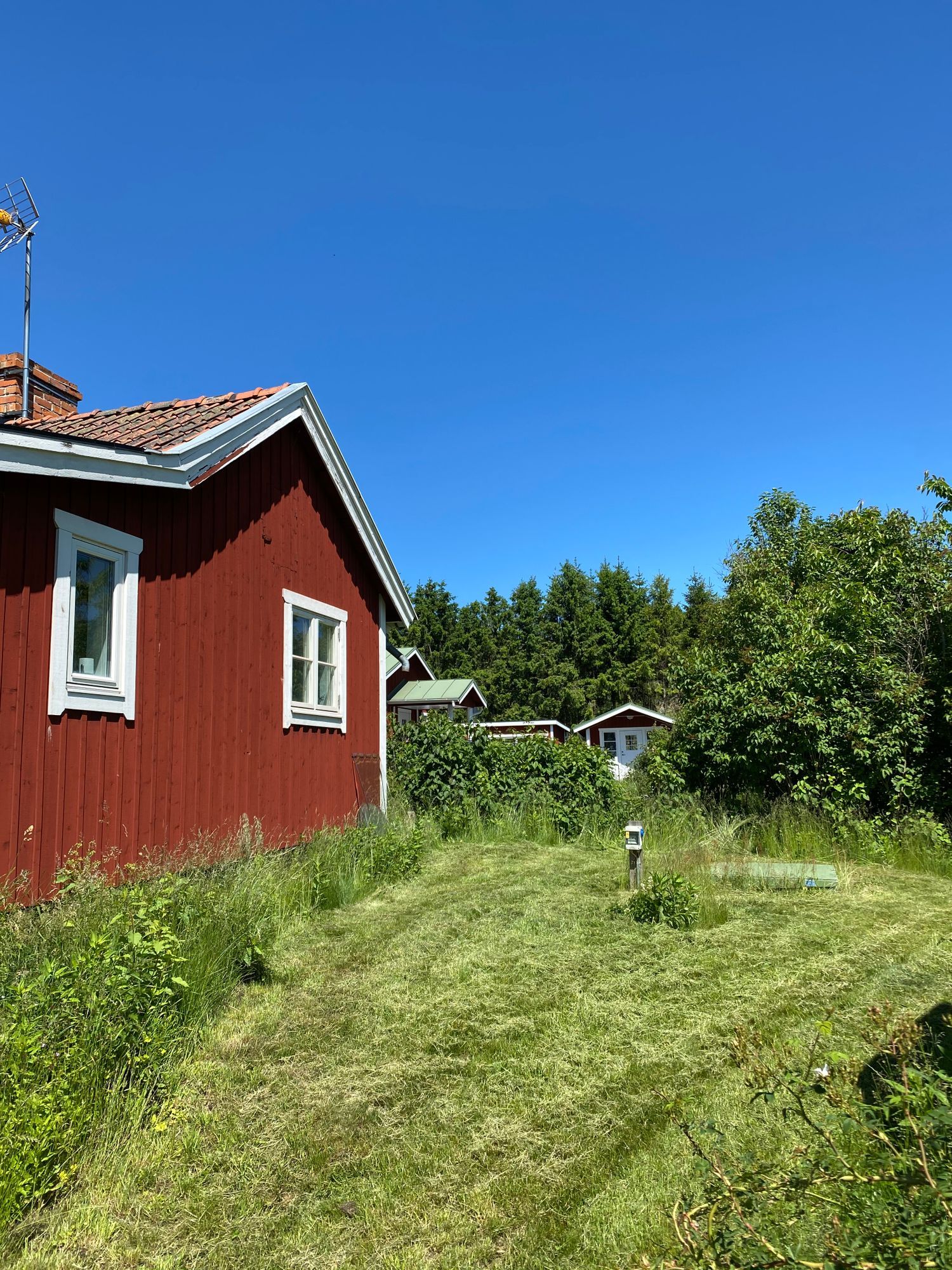 Idyllisk sjötomt för upp till 3 familjer, Värmdö – bild 18 av 24