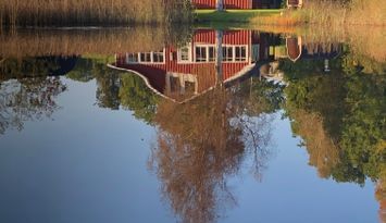 Stuga nära sjön