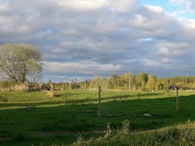 Bekvämt boende i underskön natur