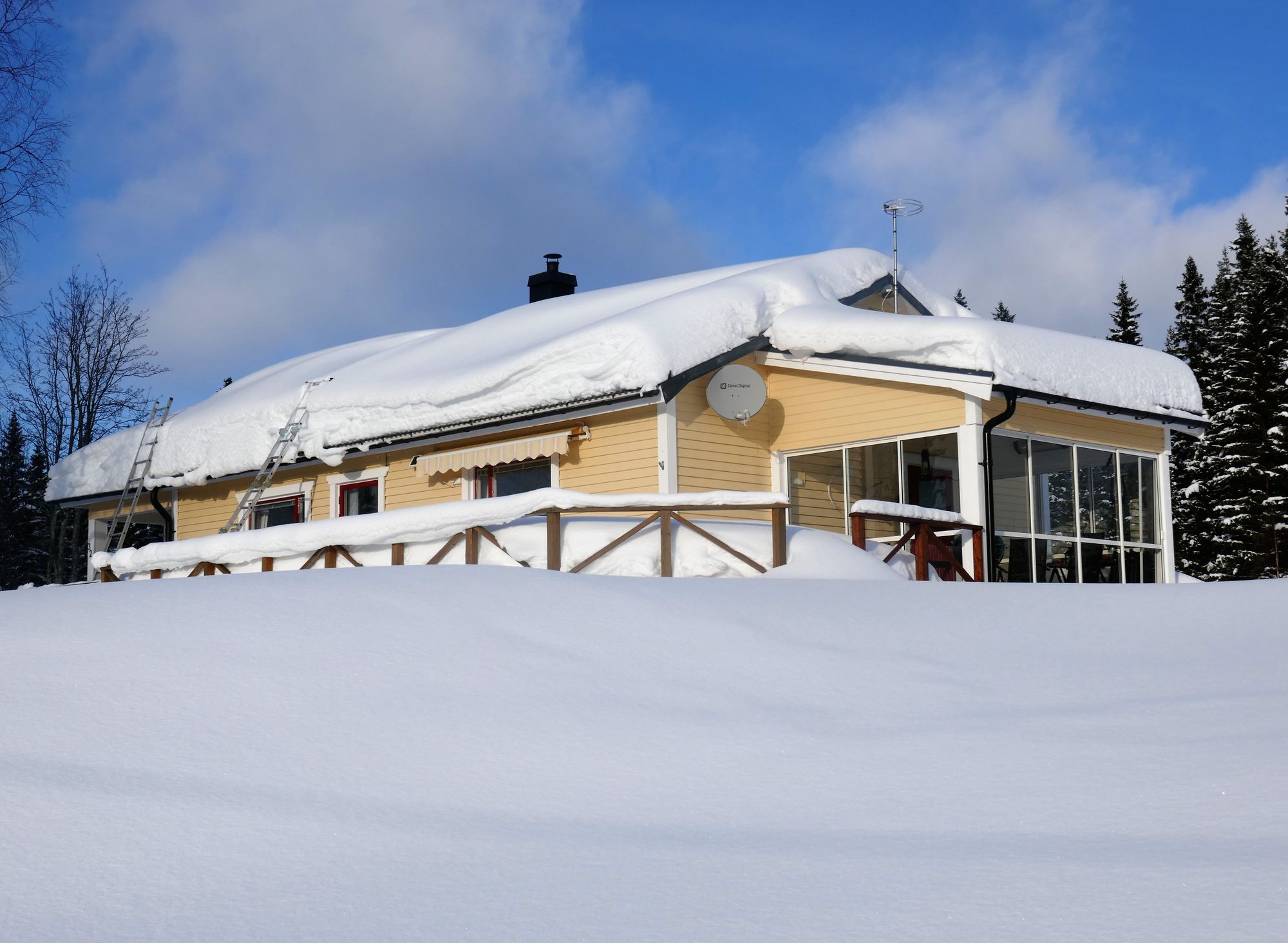 Charmig stuga nära Dammåns fiske och Bydalsfjällen – bild 18 av 24