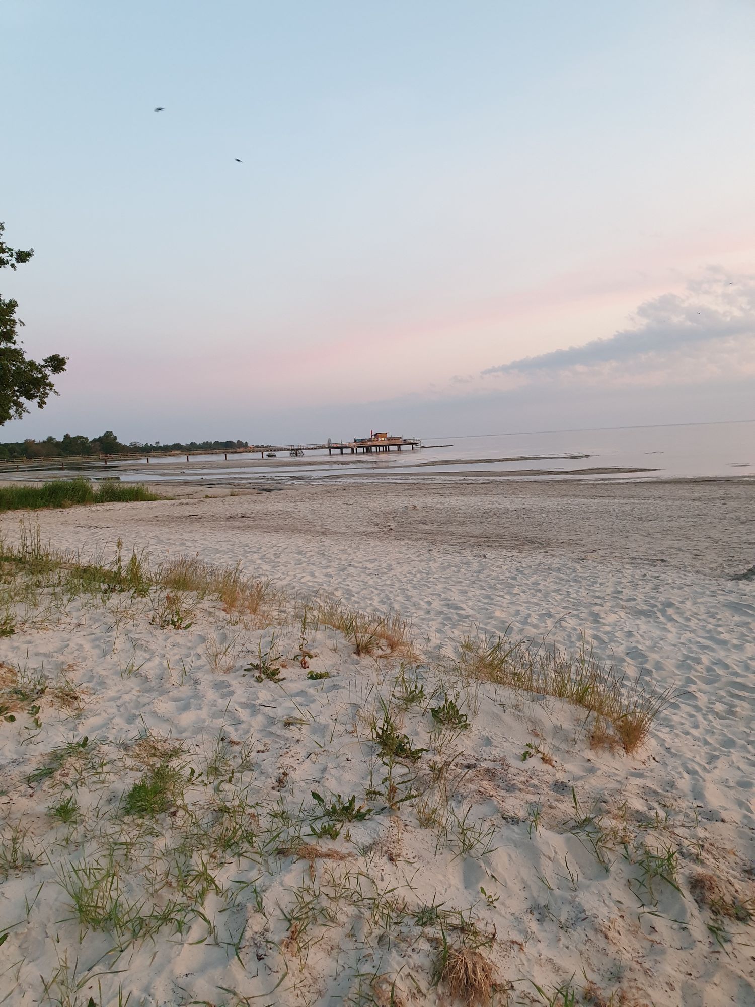 Öland Köpingsvik, Lufsan 3 – bild 13 av 13