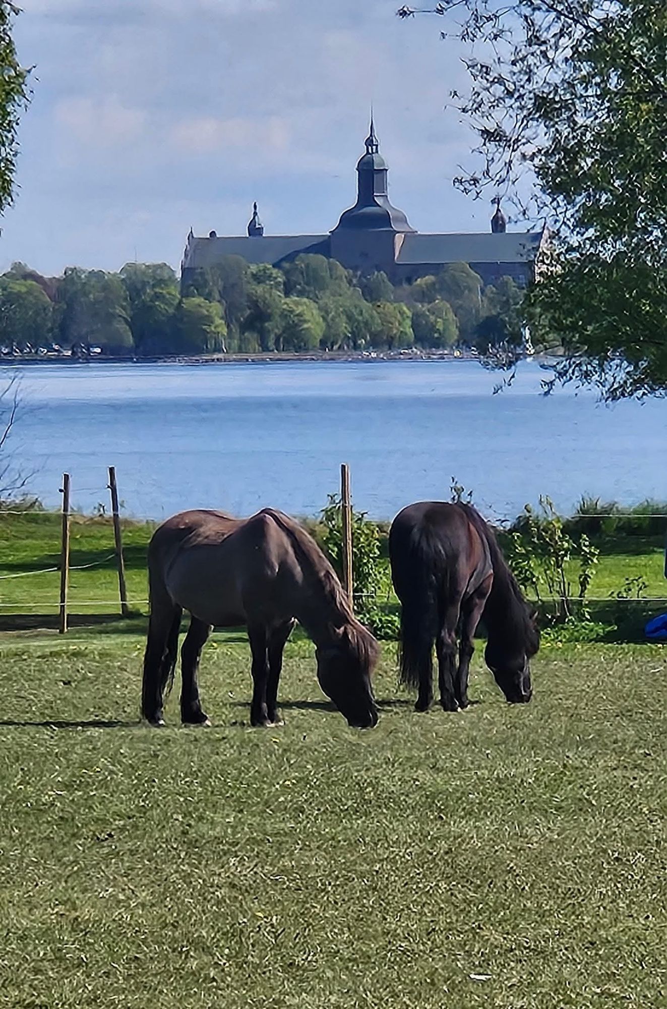 Unikt läge vid Vätterns strand ! – bild 15 av 18