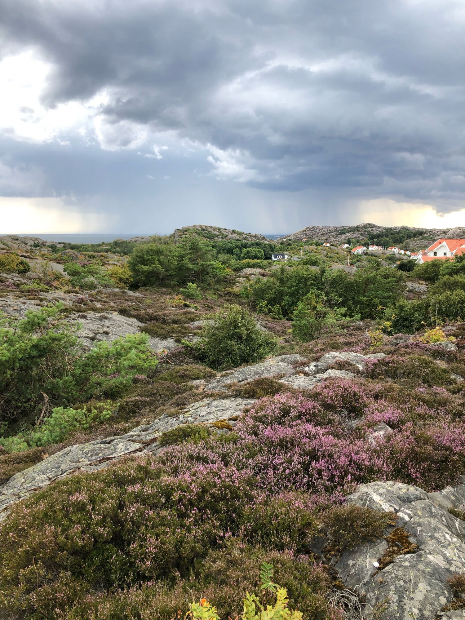 Hus med havsutsikt  härlig bastu/relax – bild 4 av 24
