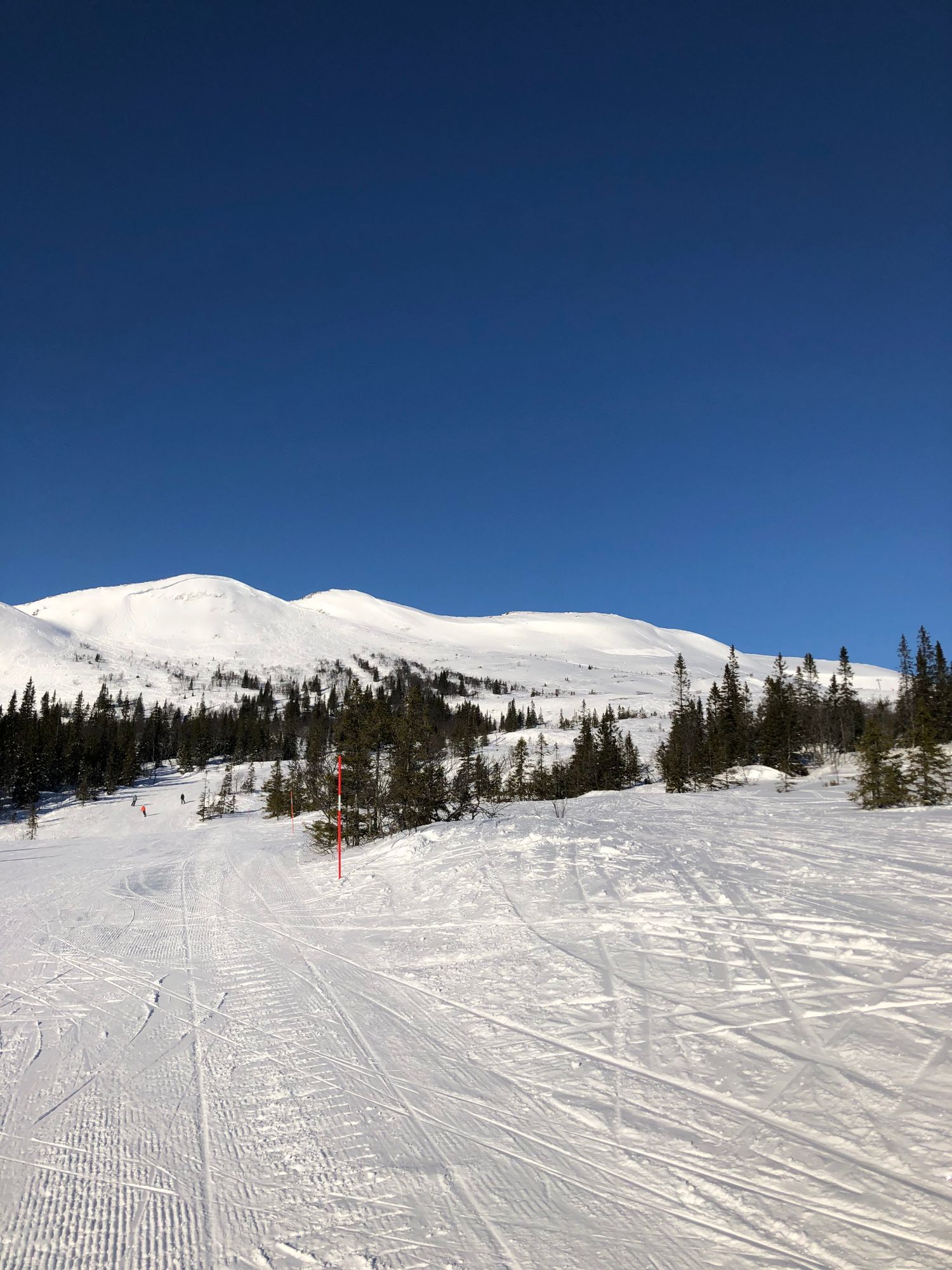 Backnära boende i Tegefjäll - Egen laddplats