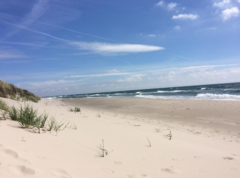 Sandhammaren, Skåne – bild 2 av 12