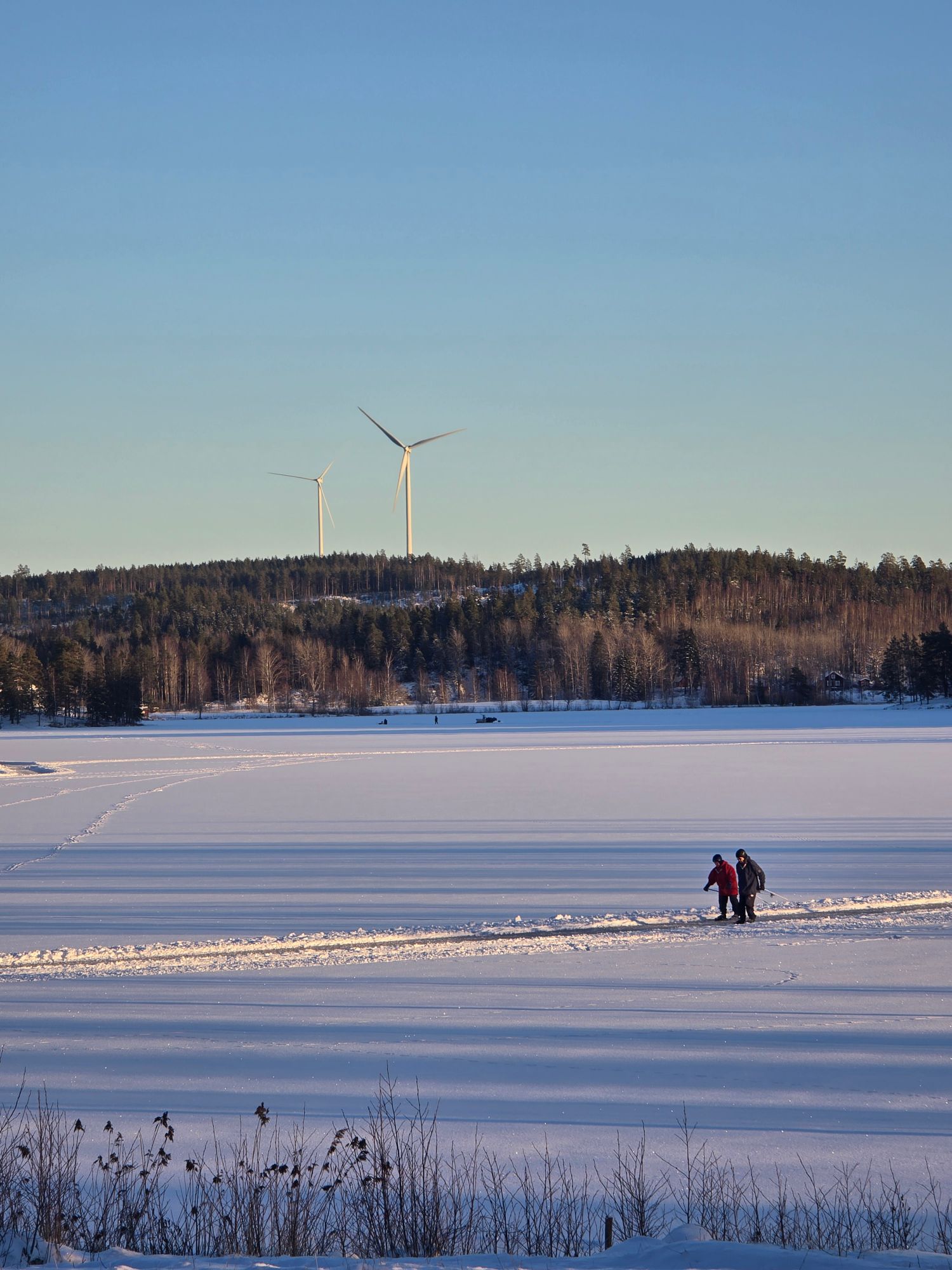 Rofylld sjönära retreat – bild 16 av 16