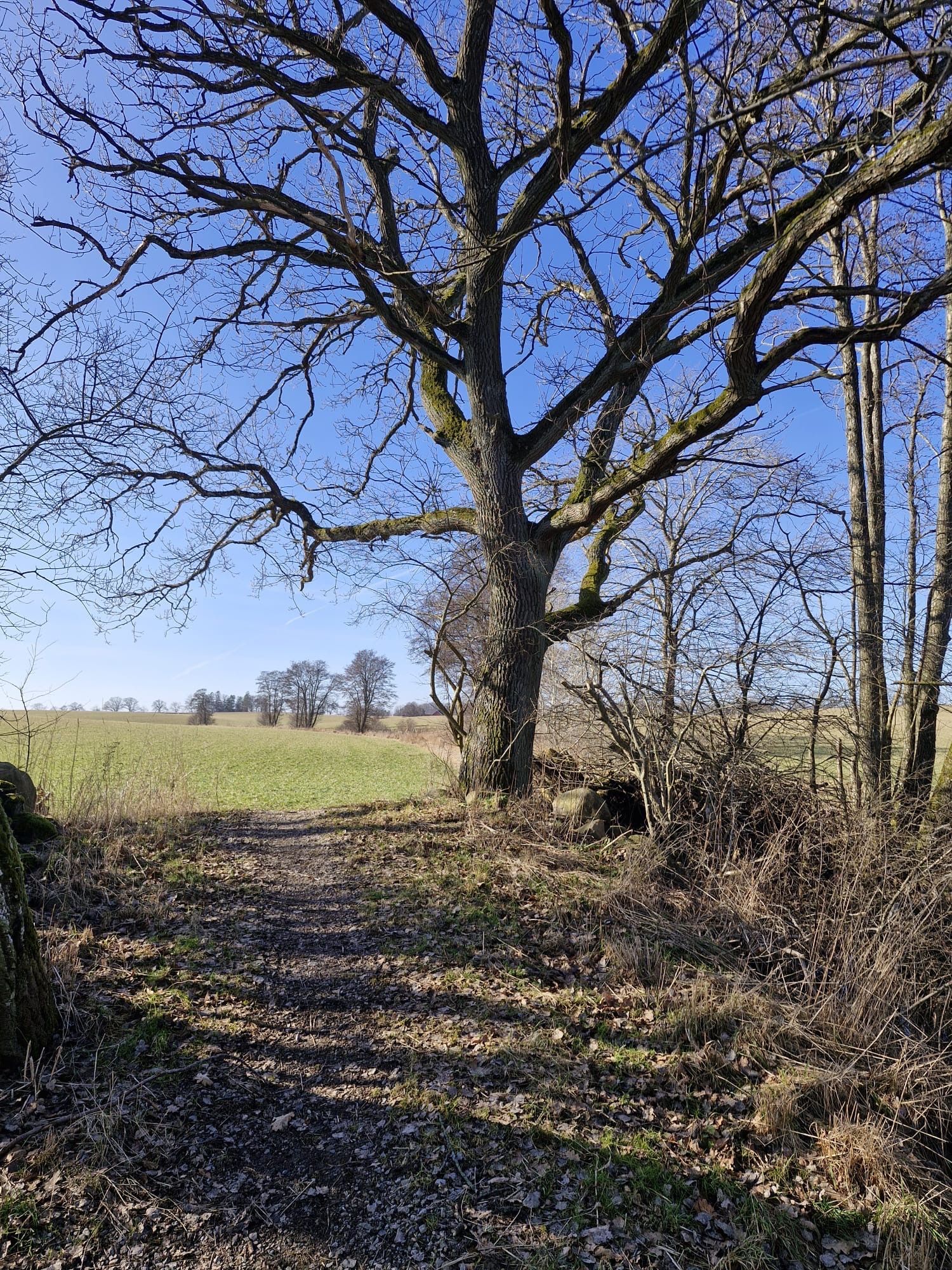 Retreat Kerstins stuga – bild 24 av 24