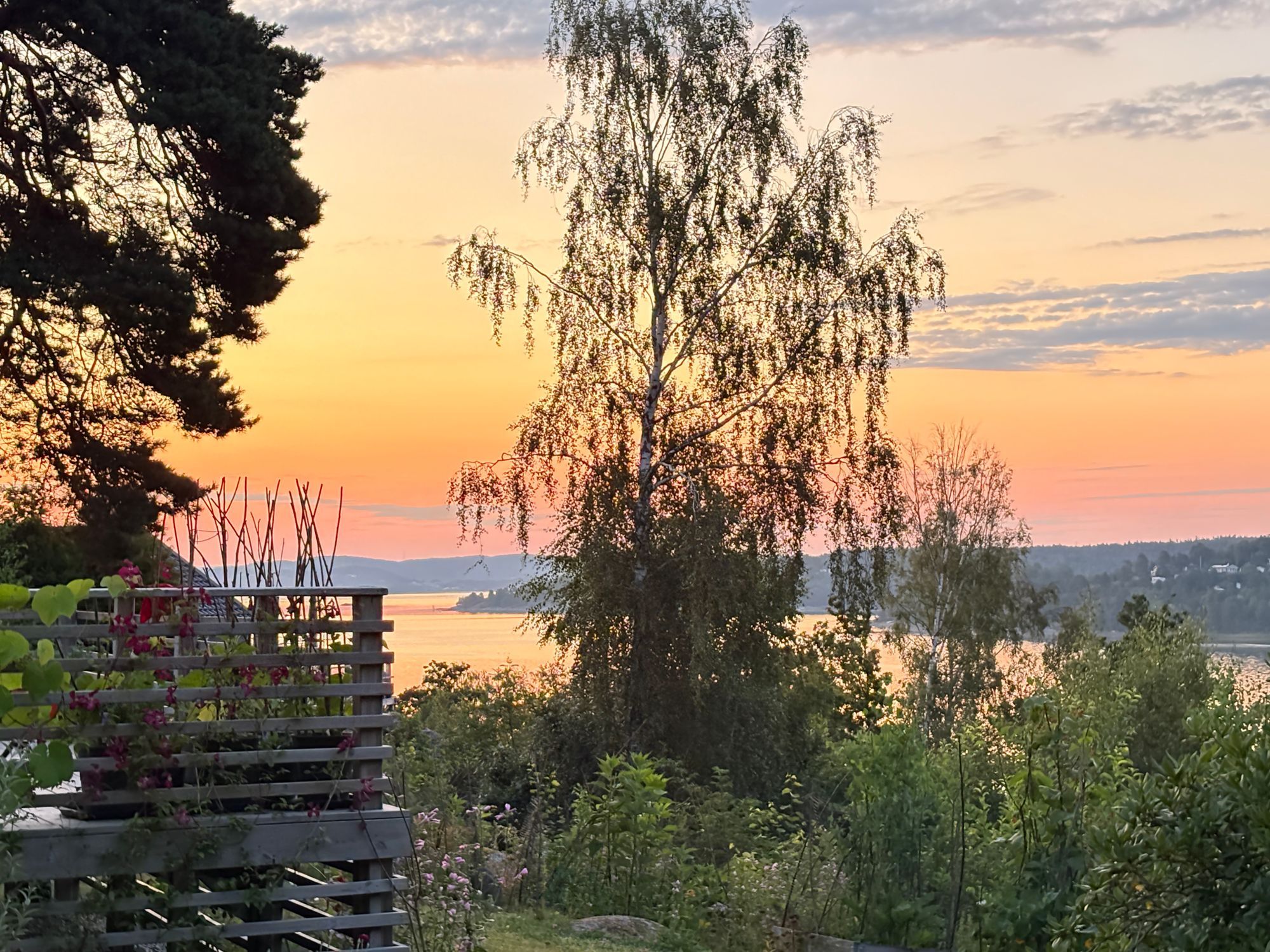 Fritidshus - havsutsikt och nära till bad – bild 6 av 24