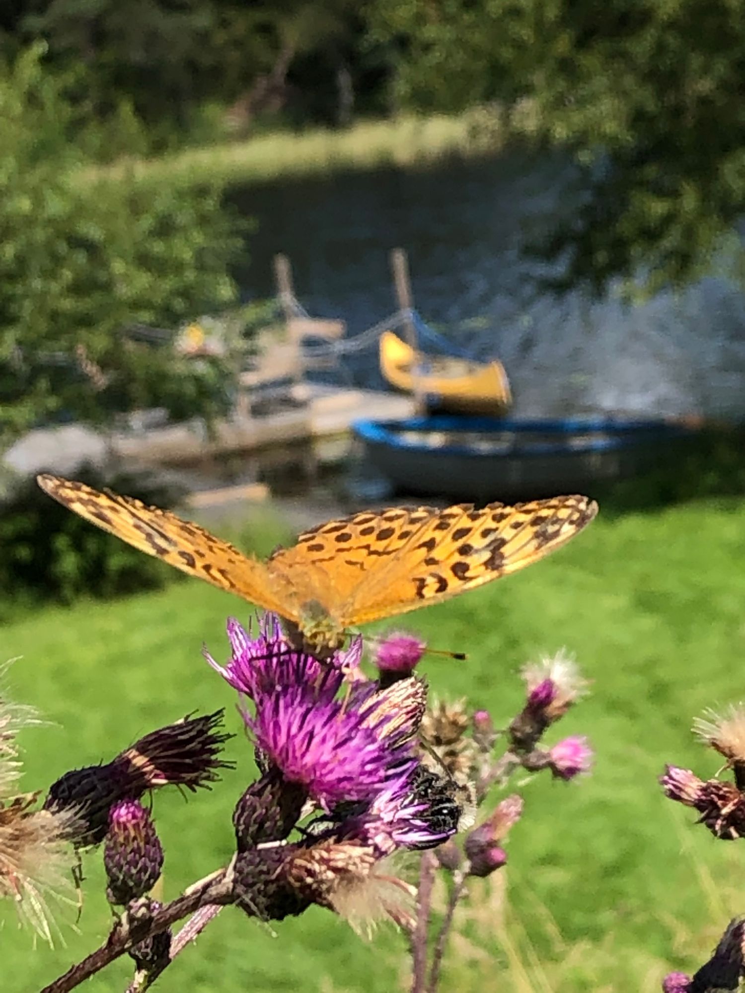 Charmigt hus med sjötomt i naturskön omgivning – bild 5 av 24