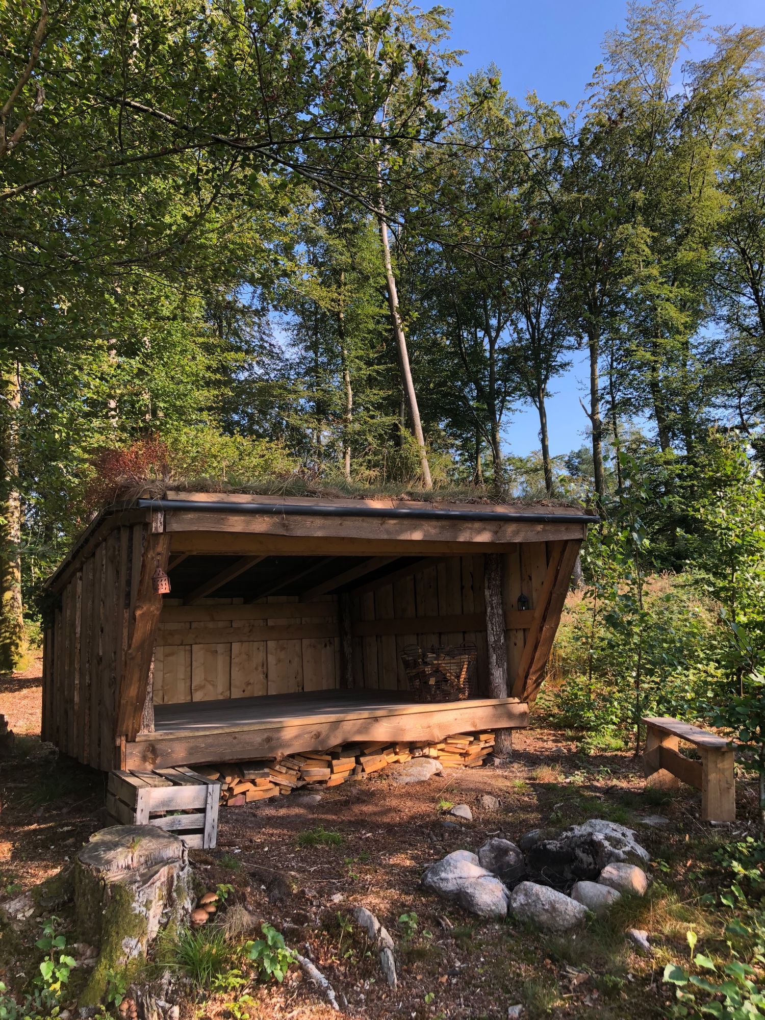 Charmigt hus med sjötomt i naturskön omgivning – bild 14 av 24