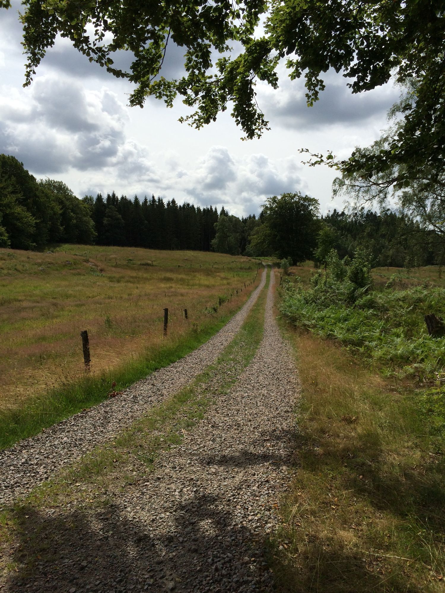 Charmigt hus med sjötomt i naturskön omgivning – bild 22 av 24