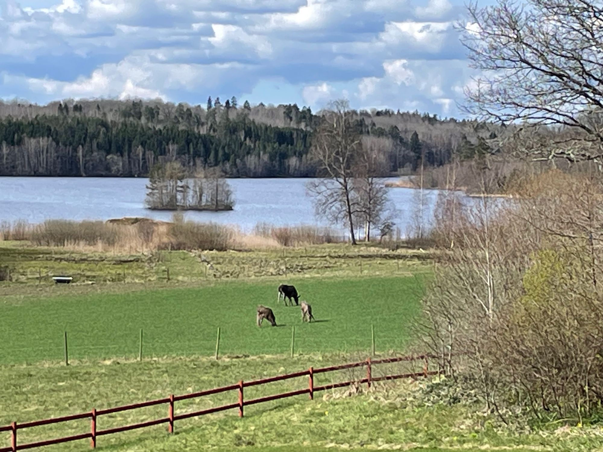 Enklare sommarboende i Östergötland – bild 7 av 21
