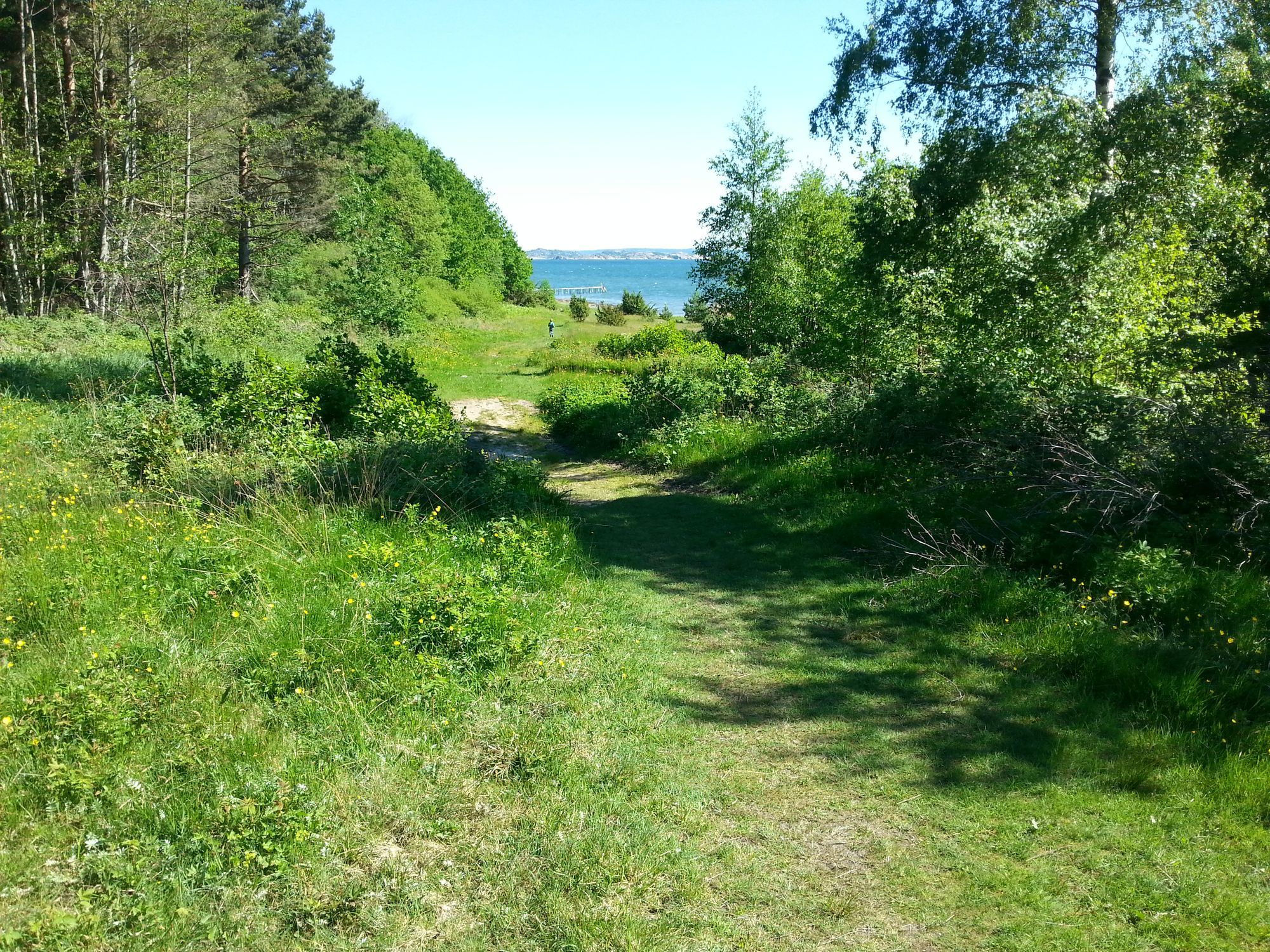 Strandnära stuga på Tjörn – bild 16 av 17
