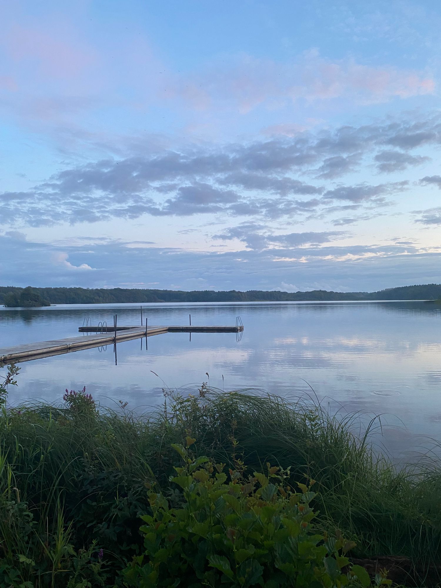 Nybyggd stuga vid lövskog och badsjö – bild 7 av 14