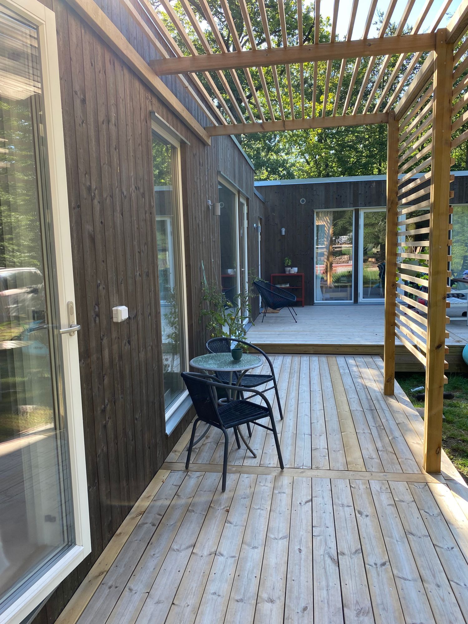 Nybyggd stuga vid lövskog och badsjö
