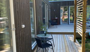 Nybyggd stuga vid lövskog och sjö