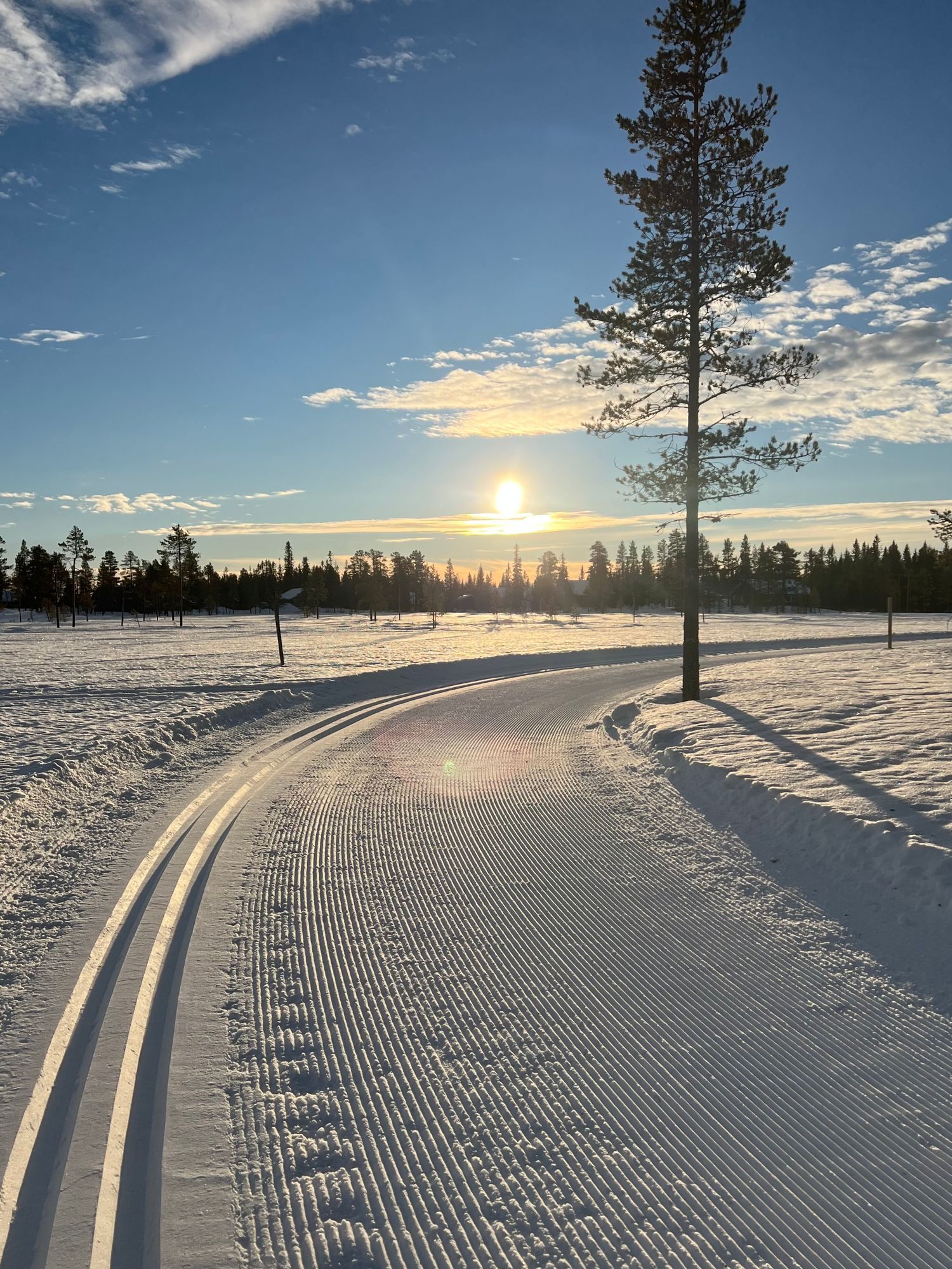 Timrad sälenstuga – bild 24 av 24