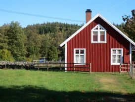 Cottage near a lake, swimming, fishing and boat.