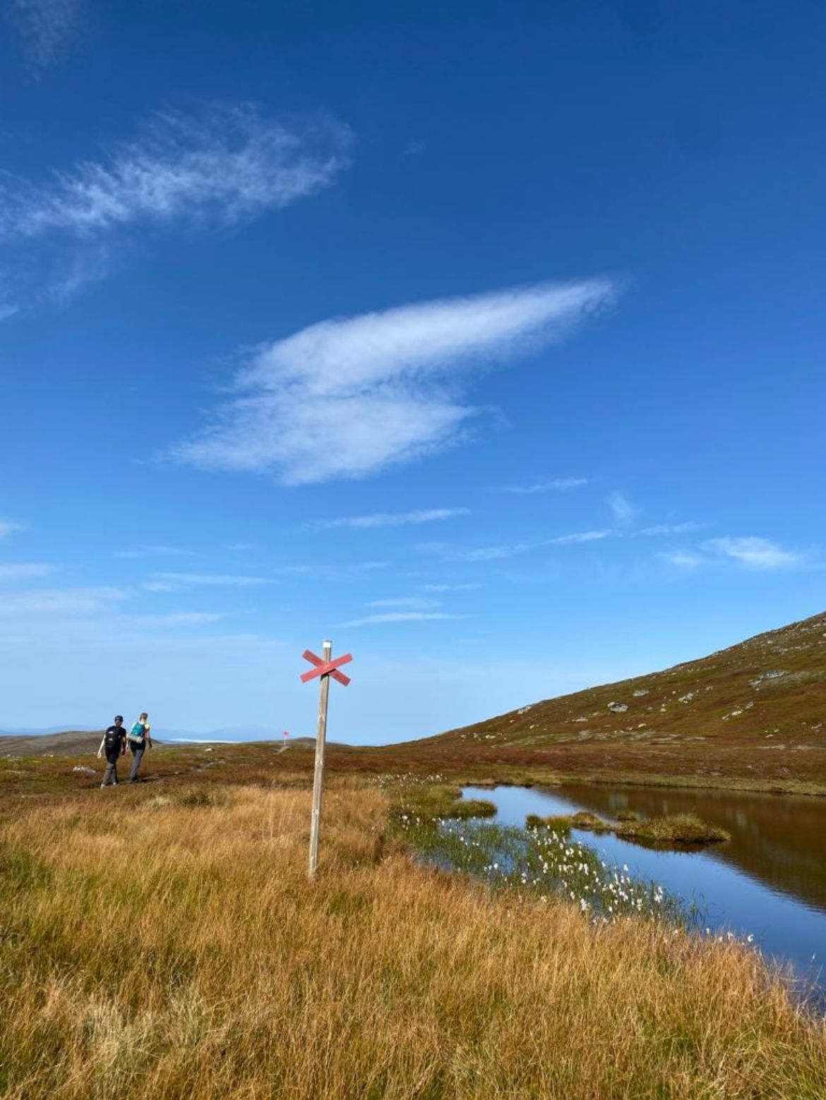 Fjällstuga i Hovde, Bydalsfjällen – bild 20 av 21