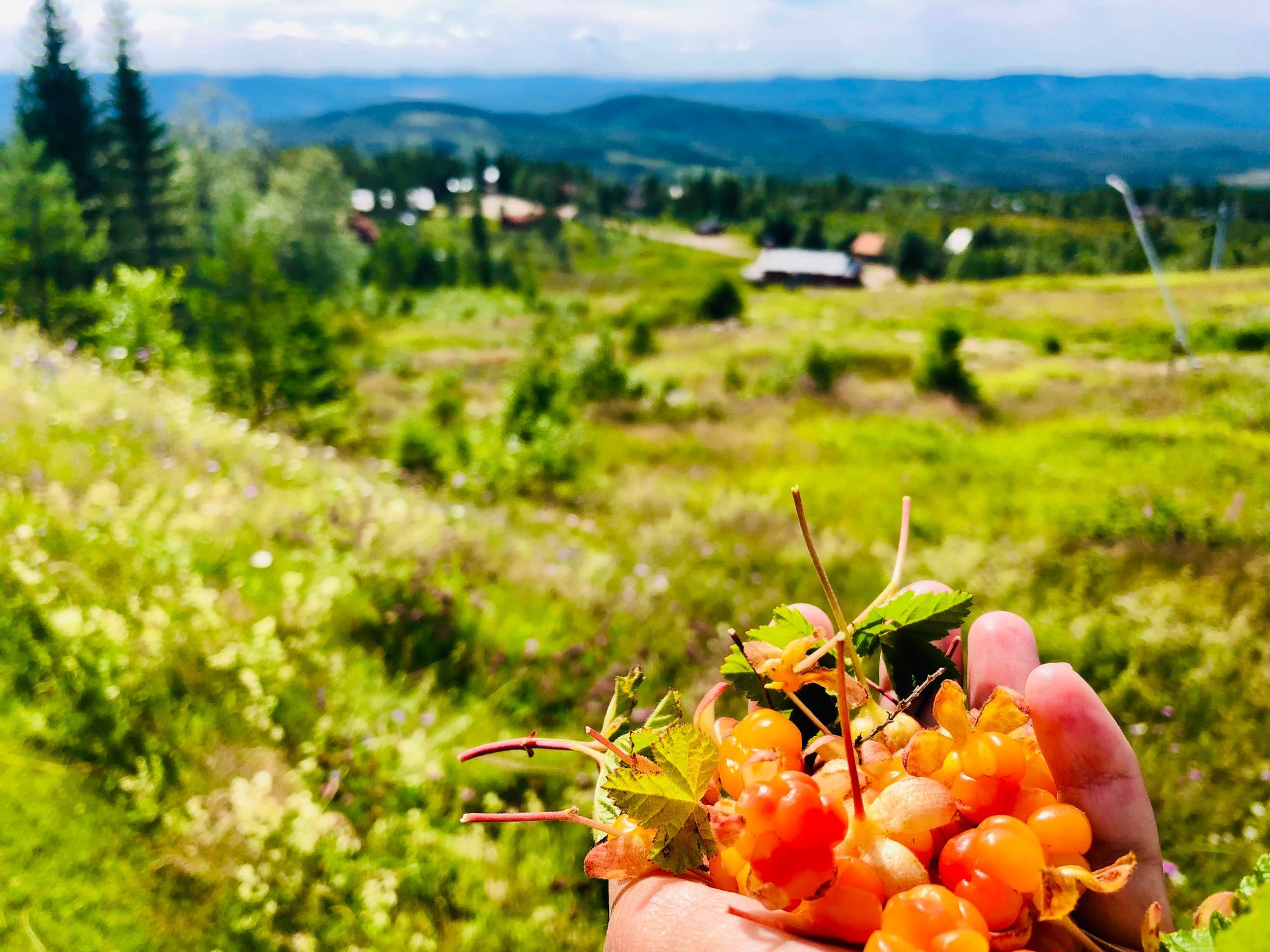 Mysig stuga vid Klarälven i Nordvärmland 🫎 – bild 18 av 21