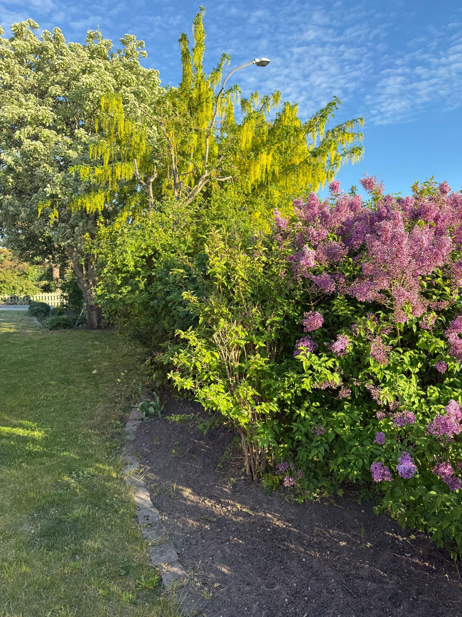 Hus att hyra i Visby – bild 20 av 21