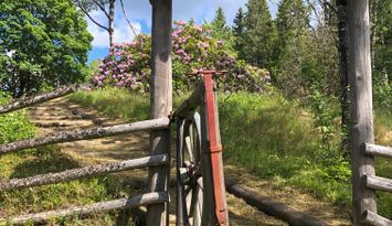 Naturnära stuga på höjd med sjöutsikt
