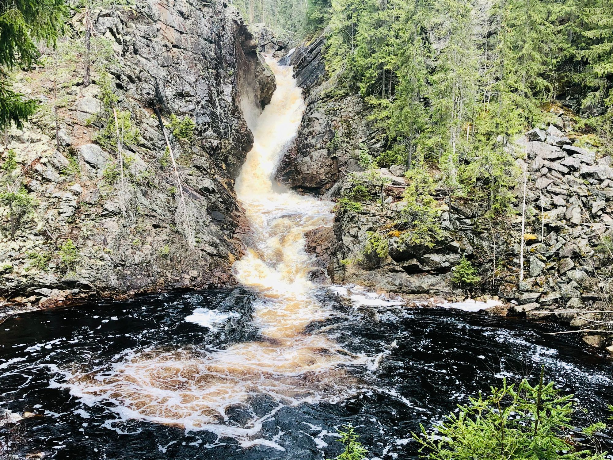 Mysig stuga vid Klarälven i Nordvärmland 🫎 – bild 21 av 21