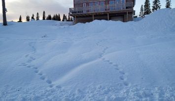 Fräsch nyuppförd stuga i snösäkra Bakvattnet