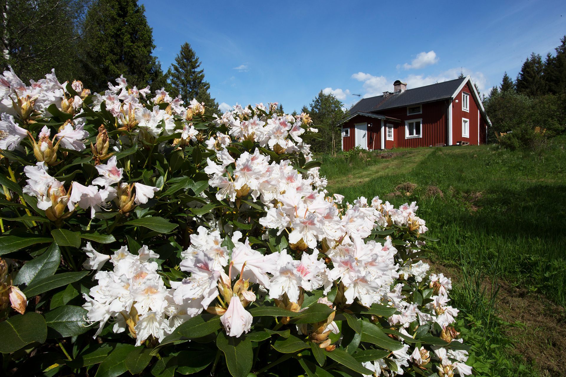 Skogstorp från 1880 uthyres – bild 10 av 13