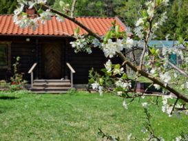 Ein charmantes Blockhaus mitten in der Natur!