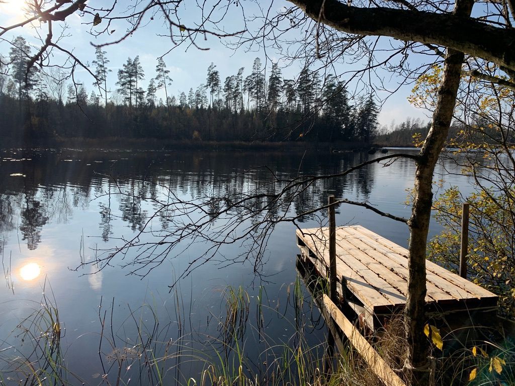 Torp från slutet på 1800-talet i Skånska skogarna – bild 16 av 18