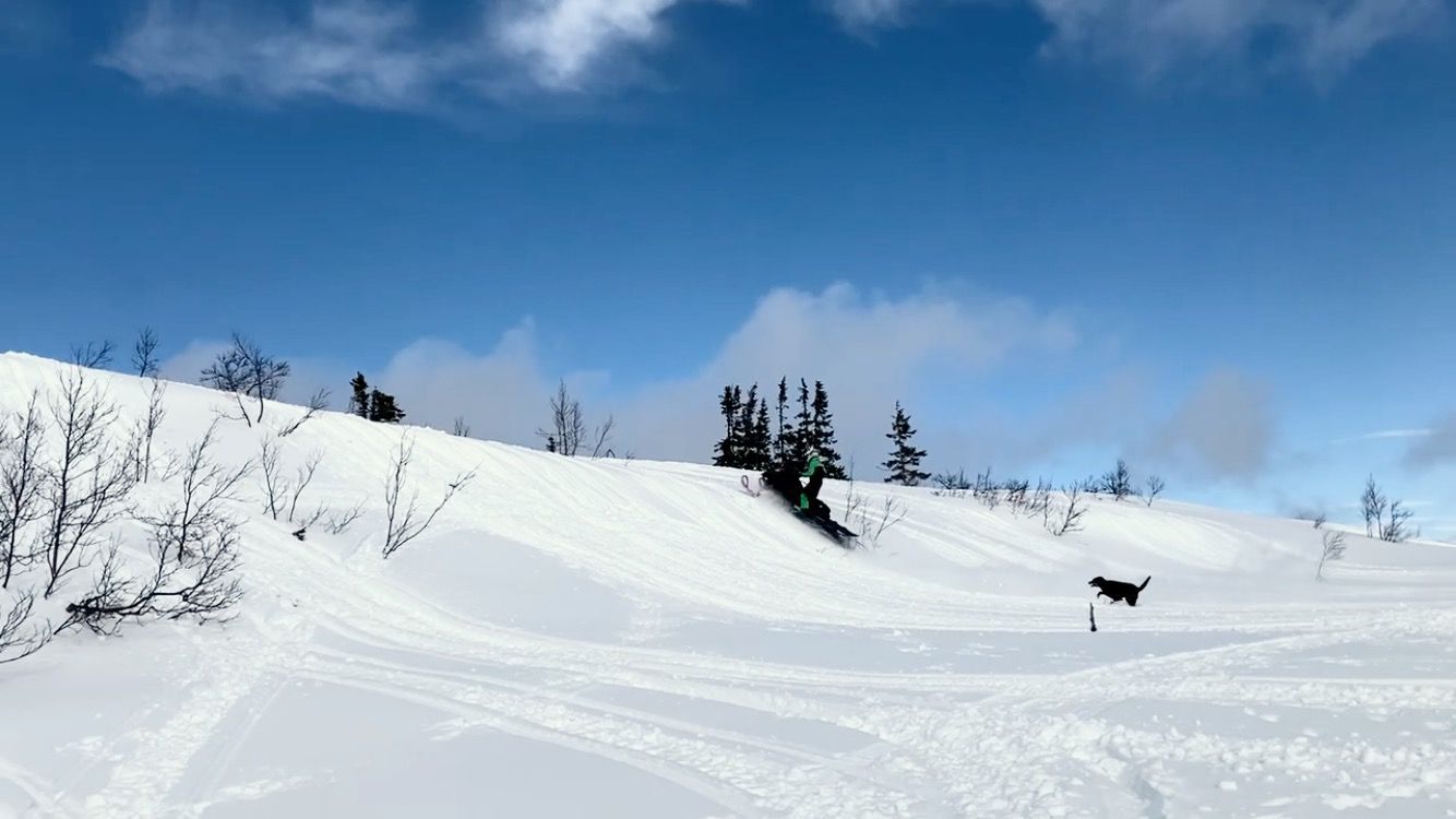 Bränna Frostviken – bild 23 av 24