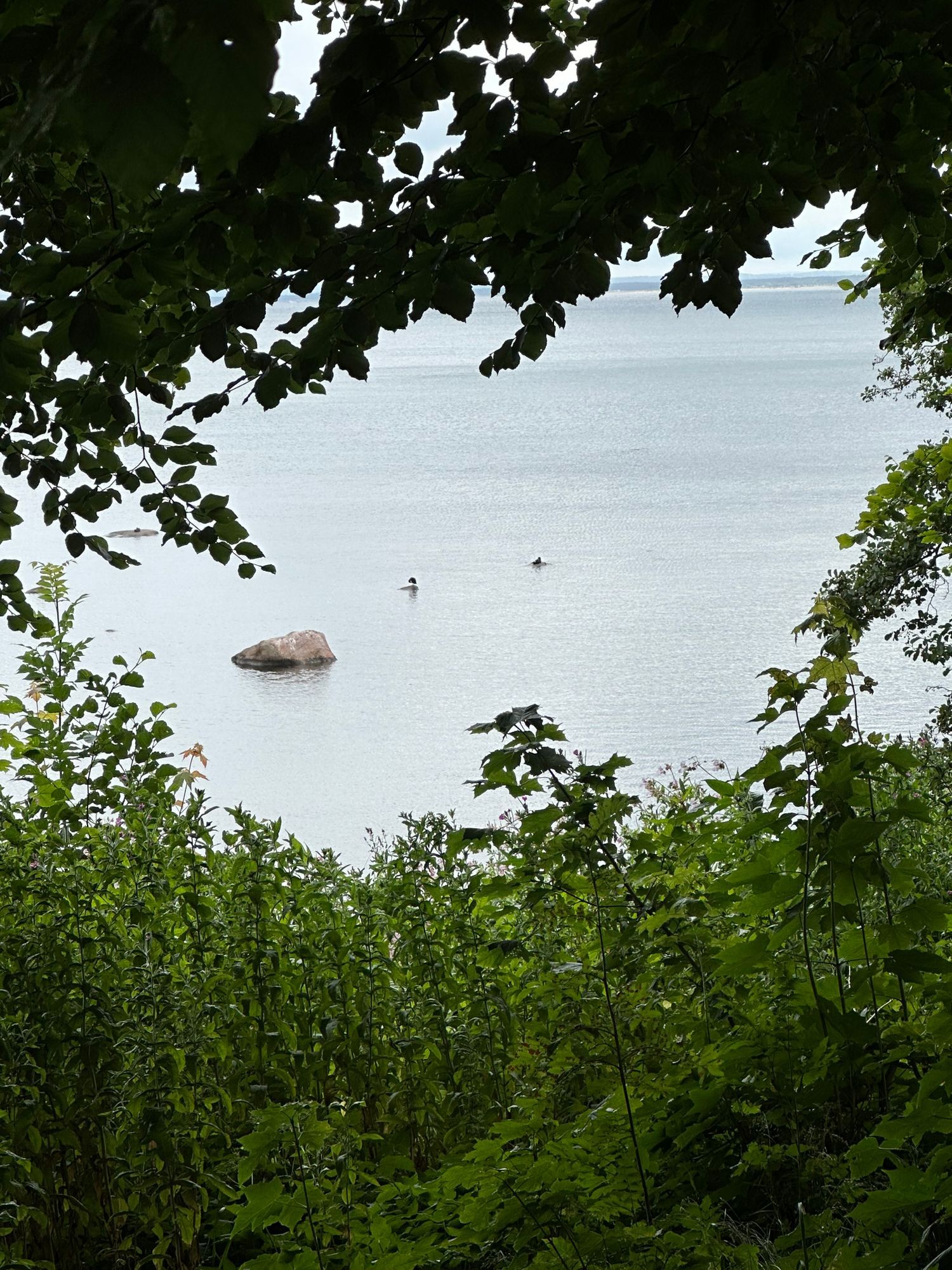 Härligt hus i Båstad nära havet och fin natur.