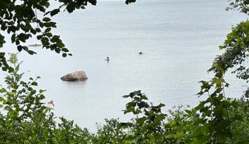 Härligt hus i Båstad nära havet och fin natur.