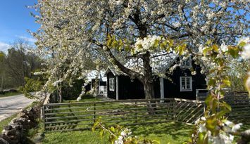 Stuga strax utanför Köpingsvik