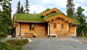 Mysigt i Grövelsjöfjällen