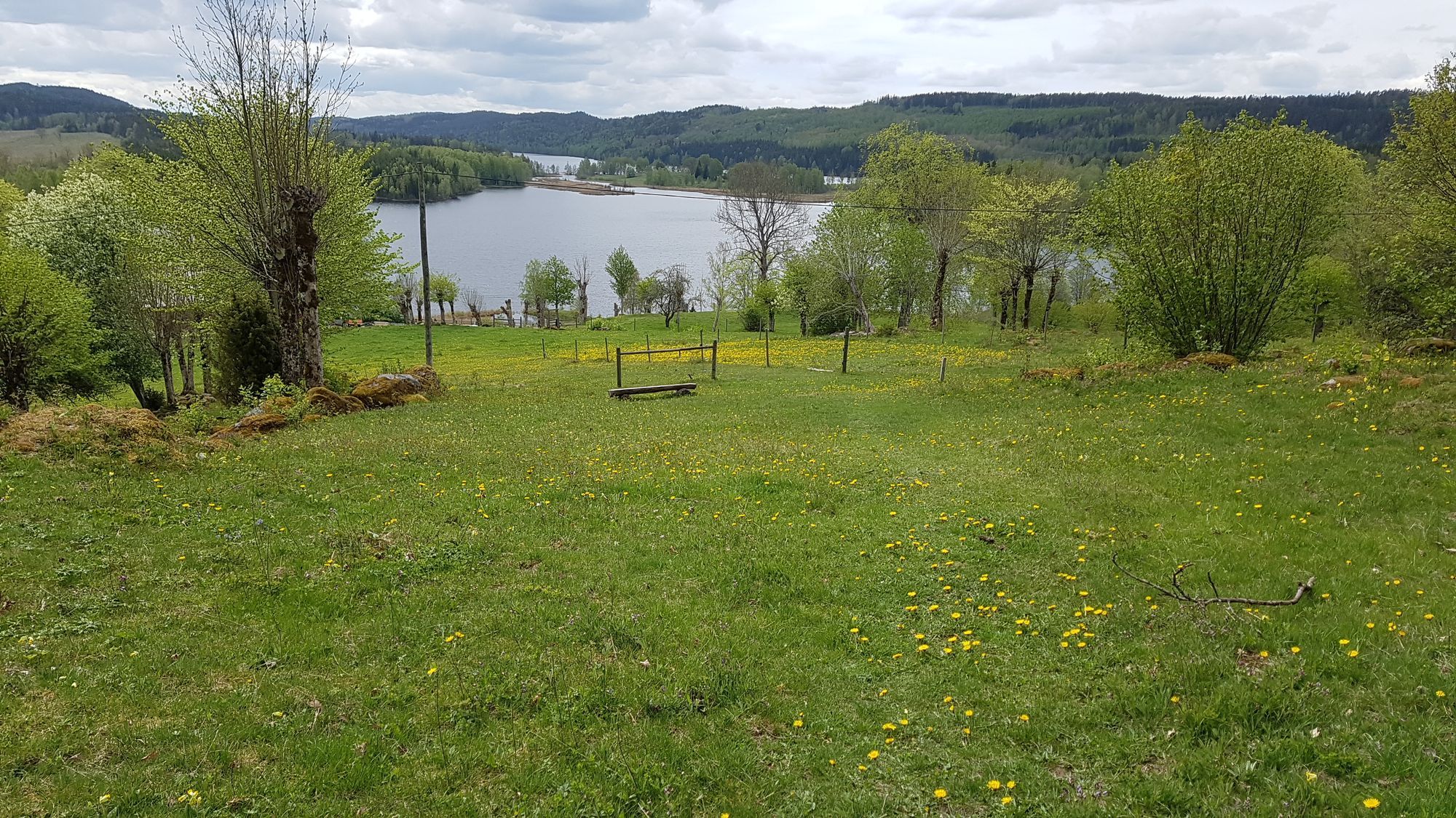 En mysig stuga mitt i ett naturreservat i Dalsland – bild 23 av 24